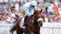 Forecast rain throws Giavellotto Arc plans into doubt
