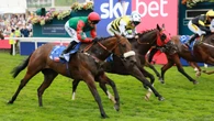 Dods back for York finale with his sprinting aces