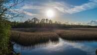 Just 7% of England’s land protected for nature, Government assessment shows