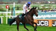 Il Ridoto looking for Paddy Power Gold Cup repeat