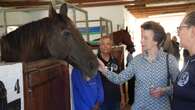 Anne begins two-day trip to South Africa with visit to horse riding school