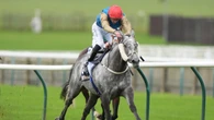 Fallen Angel set for winter break after Ascot disappointment