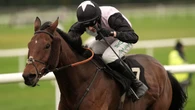 French Dynamite too strong for Munster National rivals