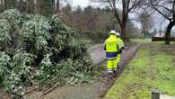 ‘Apocalyptic’ damage inflicted on forest parks by Storm Eowyn – Muir