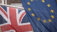 Accusations of treason over EU food and drink deal are ‘nonsense’, minister says