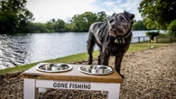 Bob Mortimer ‘very, very sad’ after death of Gone Fishing dog Ted