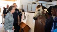 Maverick the pony kicks up a fuss as Anne visits stables in South Africa