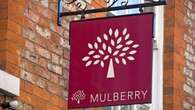 Frasers ditches £111m takeover plans for luxury firm Mulberry