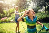 6 hidden health hazards to watch out for in your garden this summer