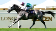 Field Of Gold to stay in training as a four-year-old