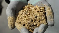 Biomass power generators could be ‘marking own homework on sustainability’