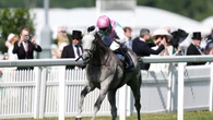 Field Of Gold raring to go again after Goodwood blip