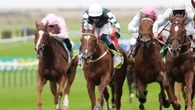 Burke backing Evolutionist to develop into Guineas contender