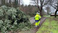 Storm Eowyn damage to schools in Northern Ireland cost millions, Stormont told