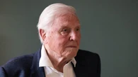 Sir David Attenborough breaks record as oldest Daytime Emmy winner at 99