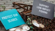 Conservation groups hit out at ‘unfulfilled promises’ over Scotland’s seabed