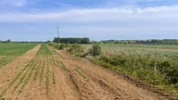 England’s driest start to spring for 69 years raises risk of summer drought