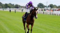 Turf hope Minnie Hauk to lead O’Brien’s Breeders’ Cup team