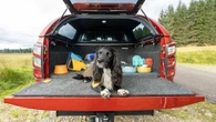 Isuzu goes for paw appeal with new dog-focused range