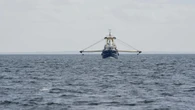 Ministers accused of ‘still breaking the law’ over fishing licences