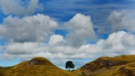 Sycamore Gap accused says friend wanted to cut down ‘most famous tree in world’