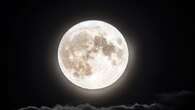 ‘Largest and brightest’ supermoon of the year set to delight skygazers