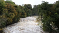 Government ‘could miss chance to tackle chemical pollutants from wastewater’