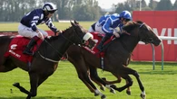 Sky Majesty to lead Haggas’ dual Abbaye challenge