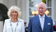 King chats about knitting with diving star Tom Daley during US state visit