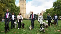 MPs joined by four-legged friends for Westminster dog show