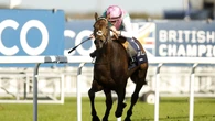 Kalpana leads Balding’s Ascot team in title pursuit