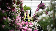Chelsea Flower Show returns with a focus on climate, nature – and a love of dogs