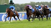 Ombudsman and Delacroix head Champion Stakes field