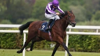 Delacroix to begin life at stud as racing career ends