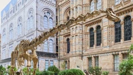 Natural History Museum opens new urban gardens complete with bronze dinosaur