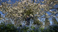 Sunshine and showers forecast for Easter bank holiday weekend