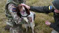 Military dogs save ‘hundreds’ of lives in Ukraine, says handler