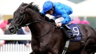 Rebel’s Romance on course to bid for Breeders’ Cup history