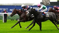 Fantasy World shocks Ascot rivals with 20-1 success