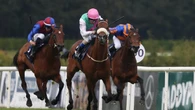 Purview predicted to make his mark in 2026