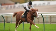 Economics ‘on track’ for Champion Stakes reappearance