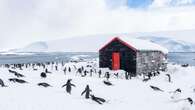 British team to count penguins in Antarctica in one of world’s most remote jobs