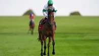 Champions Day the only option for Tamfana before sale