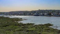 Habitat in many estuaries at high risk of being ‘squeezed’ out by climate change