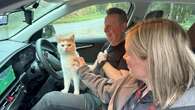 Owners’ joy as cat missing from Scottish home found 300 miles away in Coventry