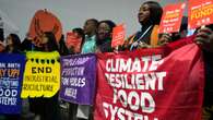 Lack of focus on nature and farming solutions at climate summit, say campaigners