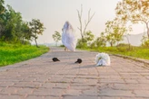 4 signs you should call off your wedding – and it isn't just cold feet