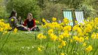 Dry, sunny conditions for most of UK this weekend to mark start of spring