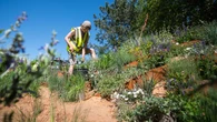 Chelsea gears up for future of extremes as dry spring affects show preparations