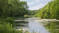 Planners refuse permission for poultry unit close to ‘precious’ chalk stream